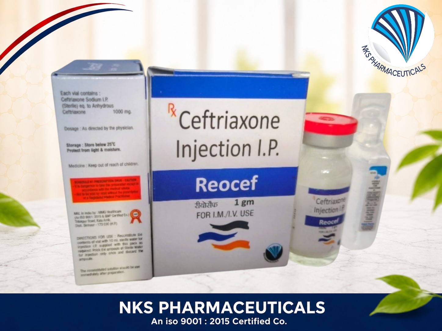 REOCEF 1GM-INJ